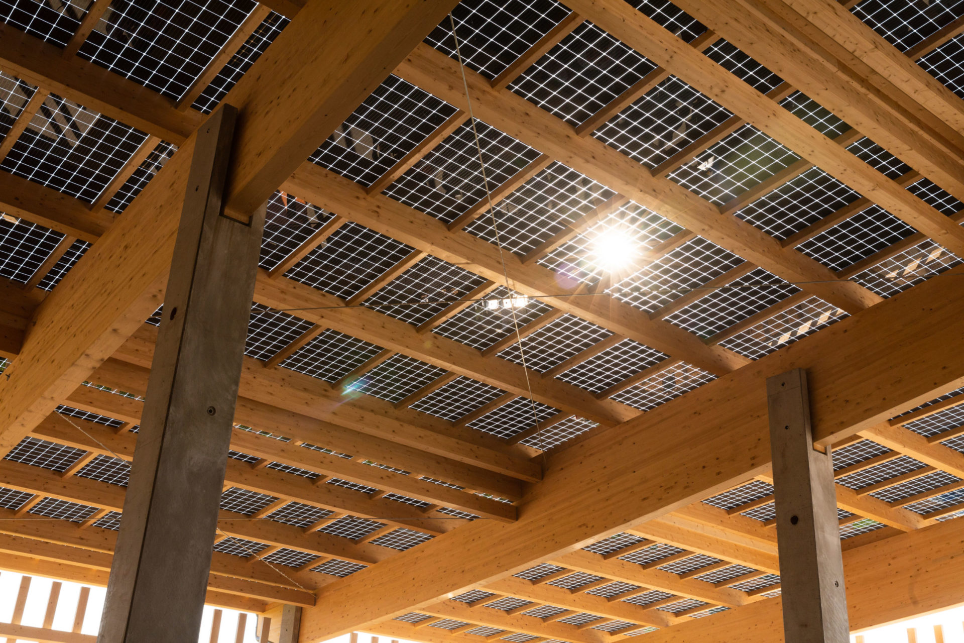 In a nutshell – Sonnenkraft solar shed roof