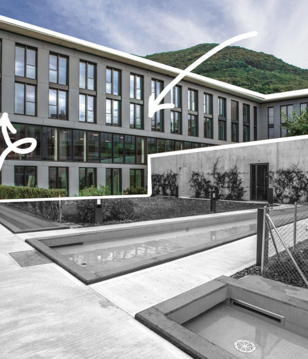 ENERGY AND DESIGN: POLIS