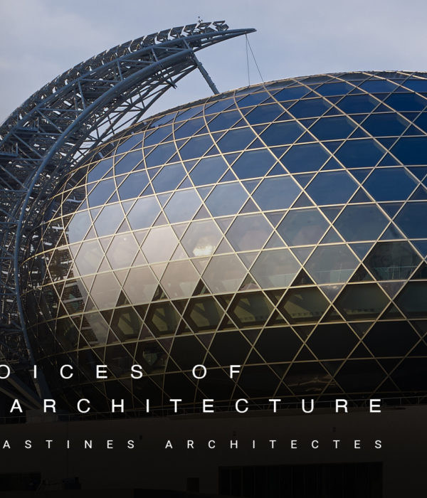 Video-Interview La Seine Musicale